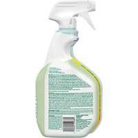 CloroxPro Clorox EcoClean Disinfecting Cleaner, 946 ml, Trigger Bottle Ontario Packaging