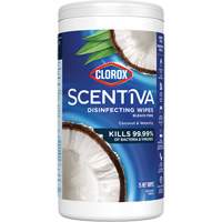 Disinfecting Wipes, 75 Count Ontario Packaging