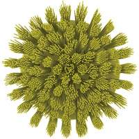 HyDrive Round Drill Brush, Extra Stiff Bristles, 3-1/10" Long, Yellow Ontario Packaging