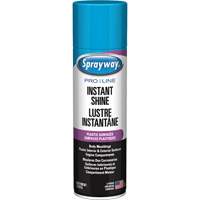 Brillant instantan&eacute; Pro Line pour surfaces en plastique, 11 oz, Canette a&eacute;rosol Ontario Packaging