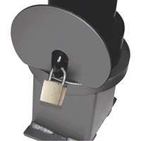 Bornes d&eacute;coratives amovibles, Acier, 40" h x 4-1/2" la, Noir Ontario Packaging