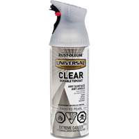 Universal Durable Top Coat, 312 g, Aerosol Can, Frosted Pearl Ontario Packaging