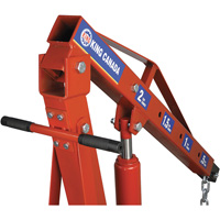 2-Ton Folding Shop Crane, 4000 lbs. (2 tons) Capacity Ontario Packaging