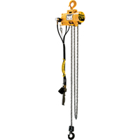 Budgit&reg; Air Chain Hoists Ontario Packaging