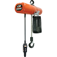 Lodestar Electric Chain Hoists, 10' Lift, 250 lbs. (0.125 tons) Capacity, 32 FPM LT613 | Ontario Packaging