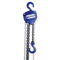 Chain Hoist, 10' Lift, 2000 lbs. (1 tons) Capacity, Load Chain Grade 80 Chain LU646 | Ontario Packaging