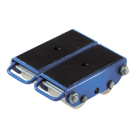 Pakrol 4-Wheel Polyurethane Skate Ontario Packaging