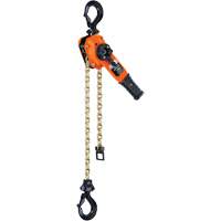 Series 653™-A Ratchet Lever Hoist, 5' Lift, 3000 lbs. (1.5 tons) Capacity, Steel Chain LW425 | Ontario Packaging