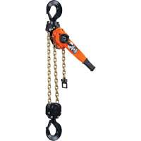 Series 653™-A Ratchet Lever Hoist, 5' Lift, 12000 lbs. (6 tons) Capacity, Steel Chain LW427 | Ontario Packaging