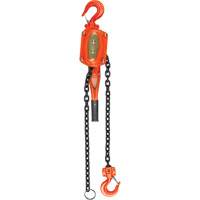 Lever Hoist, 5' Lift, 1500 lbs. (0.75 tons) Capacity, Alloy Steel Chain Ontario Packaging