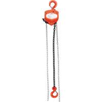 Chain Hoist, 10' Lift, 10000 lbs. (5 tons) Capacity, Alloy Steel Chain Ontario Packaging