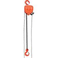 Chain Hoist, 10' Lift, 10000 lbs. (5 tons) Capacity, Alloy Steel Chain Ontario Packaging