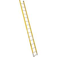 Single Section Straight Ladder - 6100 Series, 14', Fibreglass, 375 lbs., CSA Grade 1AA Ontario Packaging