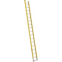 Single Section Straight Ladder - 6100 Series, 16', Fibreglass, 375 lbs., CSA Grade 1AA Ontario Packaging