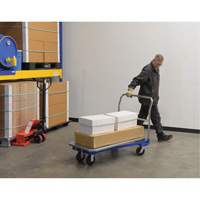 Platform Cart, 48" L x 24" W, 1500 lbs. Capacity, Mold-on Rubber Casters Ontario Packaging