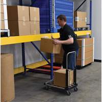 Fold-Up Platform Truck, Stainless Steel, 300 lbs., 28" L x 16" W, 33-1/2" High Ontario Packaging