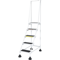 Light-Duty Stop-Step Ladders, 5 Steps, 16" Step Width, 47-11/16" Platform Height, Steel Ontario Packaging