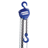 Chain Hoist, 20' Lift, 1000 lbs. (0.5 tons) Capacity, Load Chain Grade 80 Chain LU643 | Ontario Packaging
