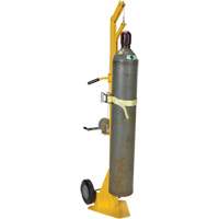 Portable Cylinder Lifter Ontario Packaging
