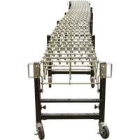 Expandable Conveyor, 23" W x 24' L, 200 lbs. per lin. ft. Capacity Ontario Packaging