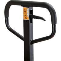 Manual Pallet Truck, Steel, 48" L x 21" W, 5500 lbs. Capacity Ontario Packaging