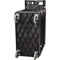 Chariot utilitaire, 2 tiers, 17-1/8" x 33-1/2" x 37-5/8", Capacit&eacute; 550 lb Ontario Packaging
