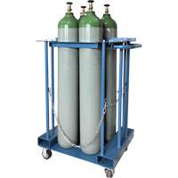 4-Cylinder Forklift Cylinder Storage Caddy Ontario Packaging