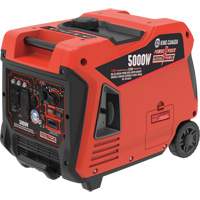 Dual Fuel Gasoline/Propane Inverter Generator, 5000 W Surge, 3700 W/3330 W Rated, 12 V, 12 L Tank NAA174 | Ontario Packaging