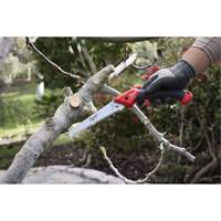7” Folding Pruning Saw with ?Straight Blade Ontario Packaging