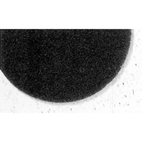 7300 Pro-Strip Pads, 17", Stripping, Black Ontario Packaging