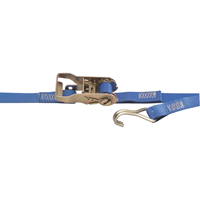 Heavy-Duty Utility Straps, Wire Hook, 1" W x 13' L, 167 lbs. (76 kg) Working Load Limit Ontario Packaging
