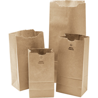 Paper Bags, Paper, 4-13/16" W x 8-1/2" L NG392 | Ontario Packaging