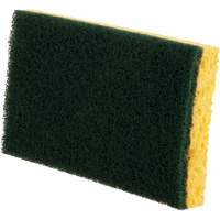 Utility Sponges, Cellulose, 6" W x 3-1/2" L Ontario Packaging