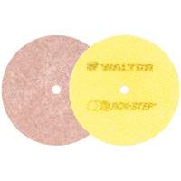 Quick-Step Instant Polish Discs, 5" Dia. Ontario Packaging