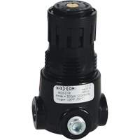 Wilkerson Miniature Regulator R03, 1/8" NPT, 300 psi Max. PSI, Standard Ontario Packaging