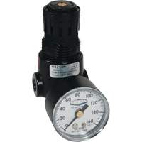Wilkerson Miniature Regulator R04, 1/4" NPT, 300 psi Max. PSI, Standard Ontario Packaging