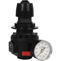Wilkerson Regulator R26, 1/2" NPT, 300 psi Max. PSI, Standard Ontario Packaging