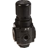 Series 1 Manifold Regulator, 1/4" NPT, 150 PSI Max. PSI, Standard Ontario Packaging