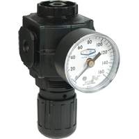 Series 1 Compact Regulator, 1/2" NPT, 150 PSI Max. PSI, Standard Ontario Packaging