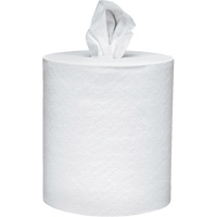 Scott<sup>®</sup> Essential Paper Towels, 2 Ply, Centre Pull, 625' L NJI990 | Ontario Packaging