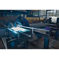 Serre-joint enti&egrave;rement en acier &agrave; double force variable Ontario Packaging