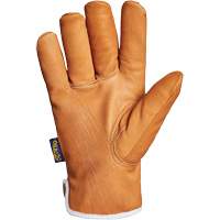 Endura&reg; Gloves, Large, Synthetic Palm, Thinsulate Inner Lining Ontario Packaging