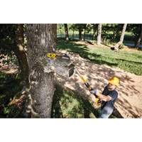 MAX* XR Cordless Polesaw Ontario Packaging