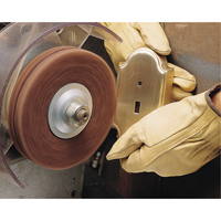 Scotch-Brite High Strength Discs (Aluminum Oxide), 6" Dia., Very Fine Grit, Aluminum Oxide Ontario Packaging