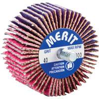 Mini-meule &agrave; lamelles filet&eacute;es, C&eacute;ramique d'alumine, Grain 40, 2" x 1" x 1/4"-20 Ontario Packaging