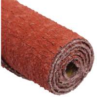 Cartouche de ruban abrasif en rouleau Standard Abrasives Ontario Packaging