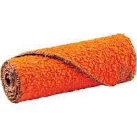 Cartouche de ruban abrasif en rouleau, 60 Grain, 1/2" dia., C&eacute;ramique d'alumine, 1-1/2" lo, 1/8" Dimension de l'arbre Ontario Packaging