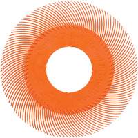 Brosse radiale en soies de pr&eacute;cision type C PN-RB sans adaptateur Scotch-Brite , C&eacute;ramique, Grain 80+, 6" dia. Ontario Packaging