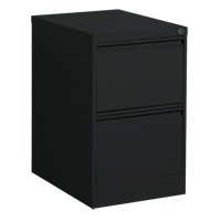 Vertical Filing Cabinet, Steel, 2 Drawers, 18-1/7" W x 25" D x 29" H, Black Ontario Packaging