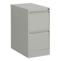 Vertical Filing Cabinet, Steel, 2 Drawers, 15-1/7" W x 25" D x 29" H, Grey Ontario Packaging